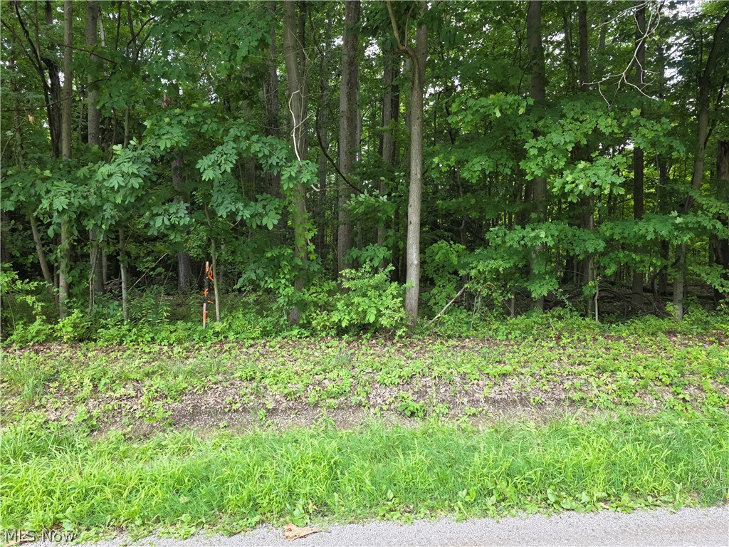 3648 Woodside Geneva OH 44041