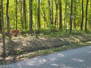 3648 Woodside Geneva OH 44041