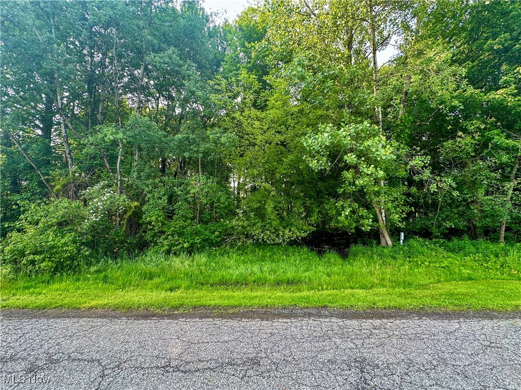 Powder Mill Run Youngstown OH 44505