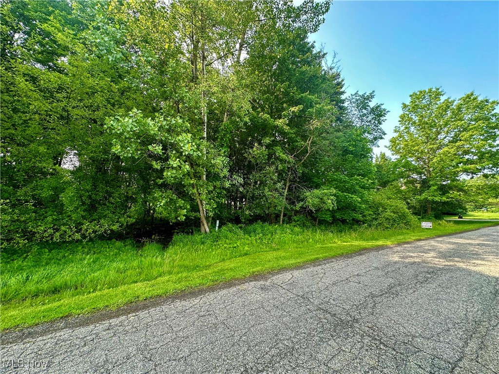Powder Mill Run Youngstown OH 44505