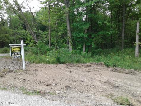Woodruff Drive Sheffield Lake OH 44054