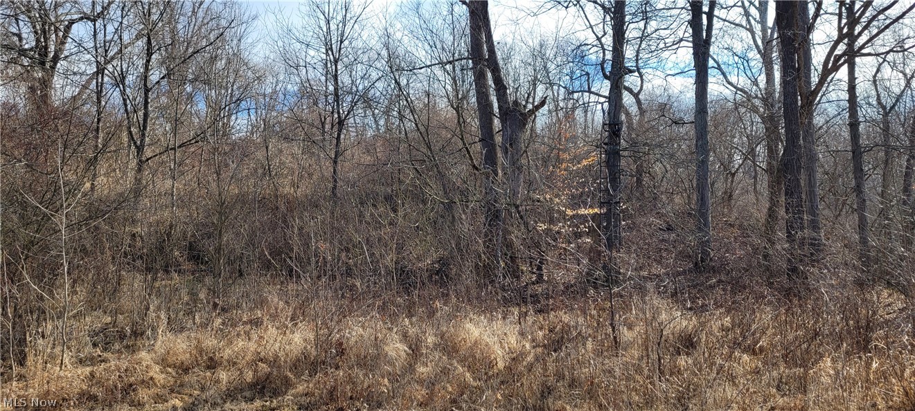 4002 Plainfield Road Kimbolton OH 43749