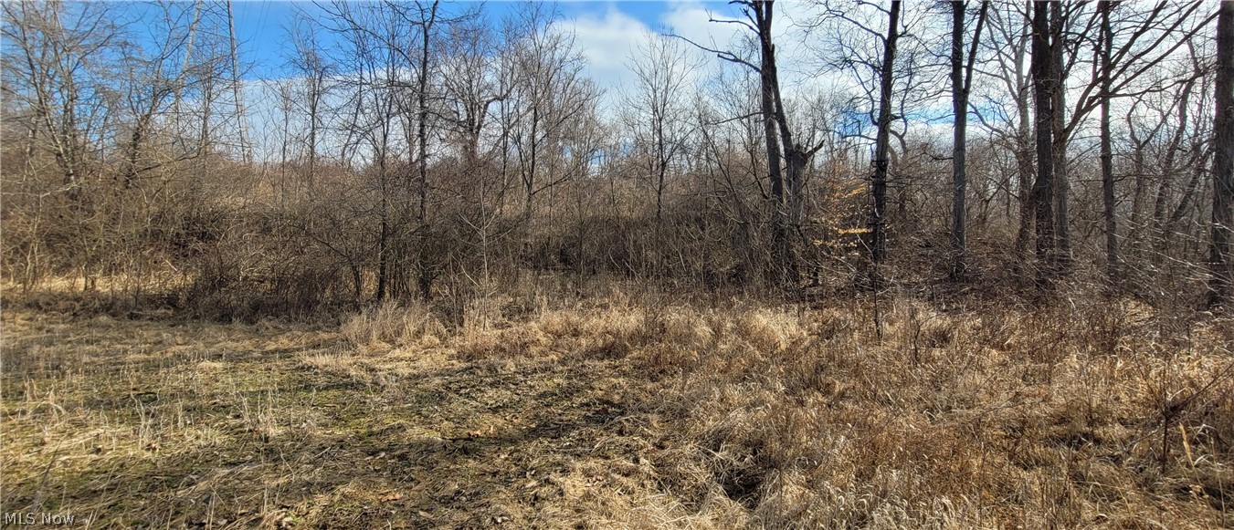 4002 Plainfield Road Kimbolton OH 43749