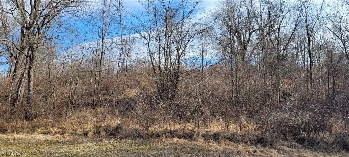 4002 Plainfield Road Kimbolton OH 43749