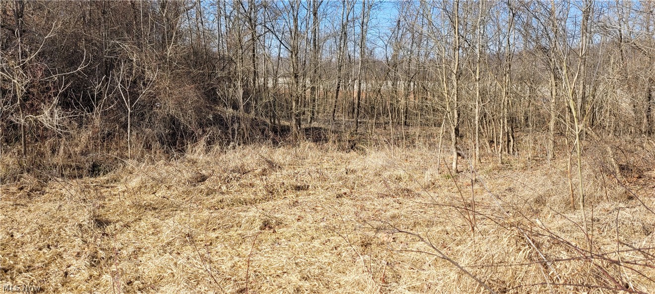 4002 Plainfield Road Kimbolton OH 43749