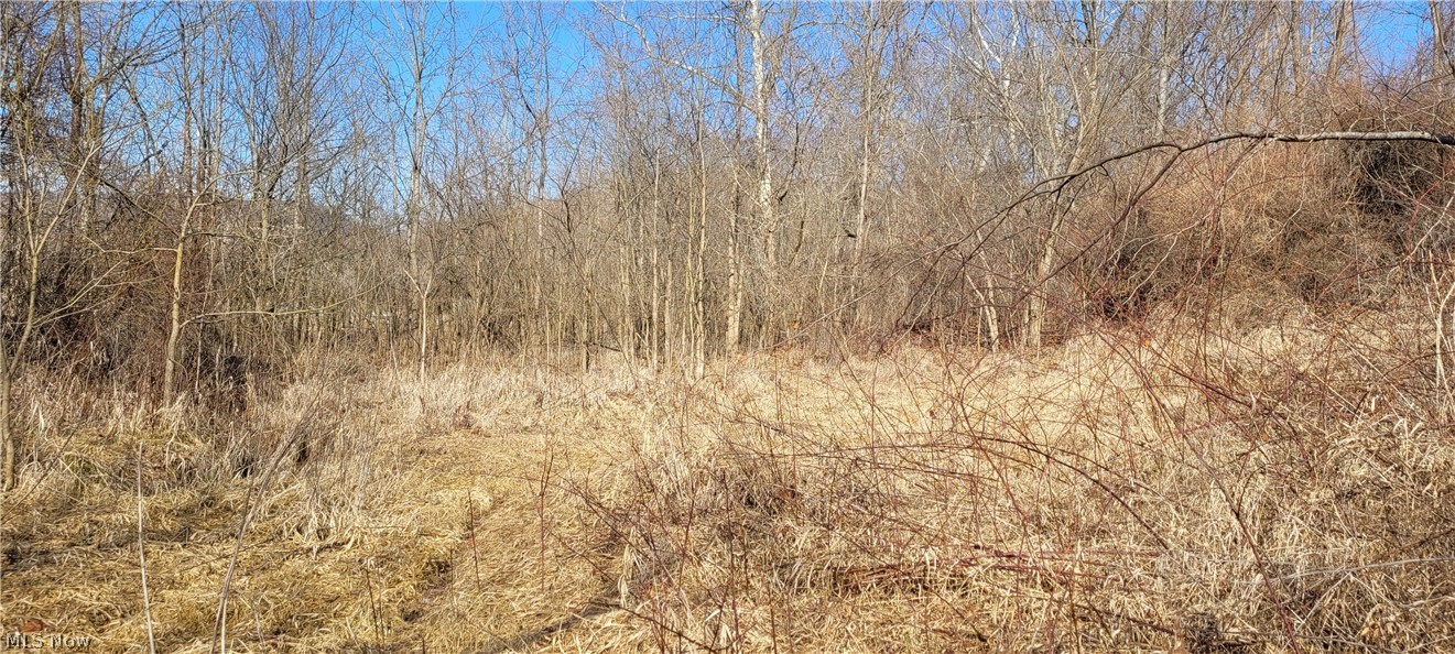 4002 Plainfield Road Kimbolton OH 43749