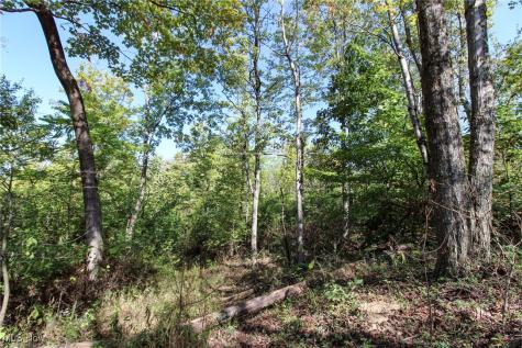 Lot 3 Moss Run Road Marietta OH 45750