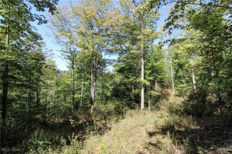 Lot 3 Moss Run Road Marietta OH 45750