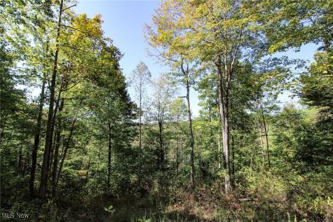 Lot 3 Moss Run Road Marietta OH 45750