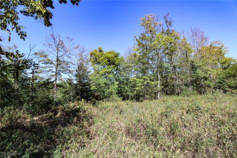 Lot 3 Moss Run Road Marietta OH 45750