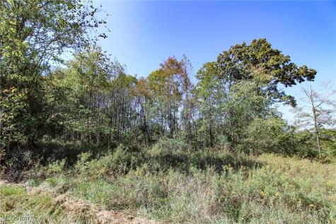 Lot 3 Moss Run Road Marietta OH 45750
