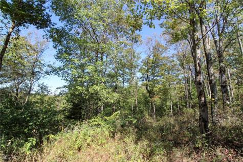 Lot 3 Moss Run Road Marietta OH 45750