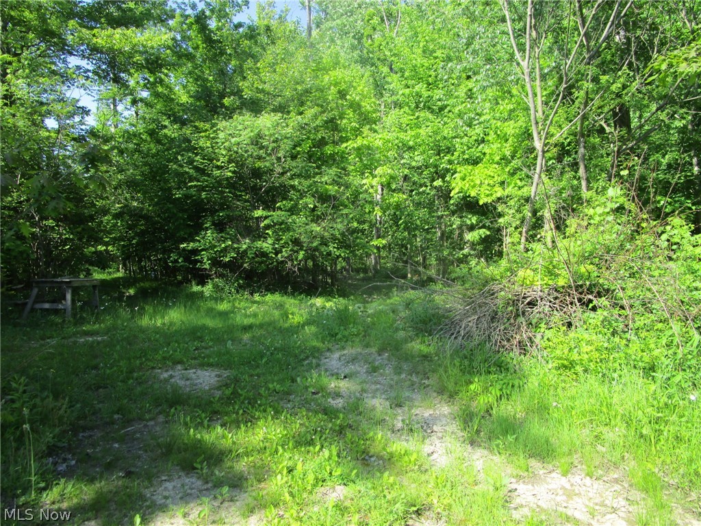 4293 Bulah Road Jefferson OH 44047
