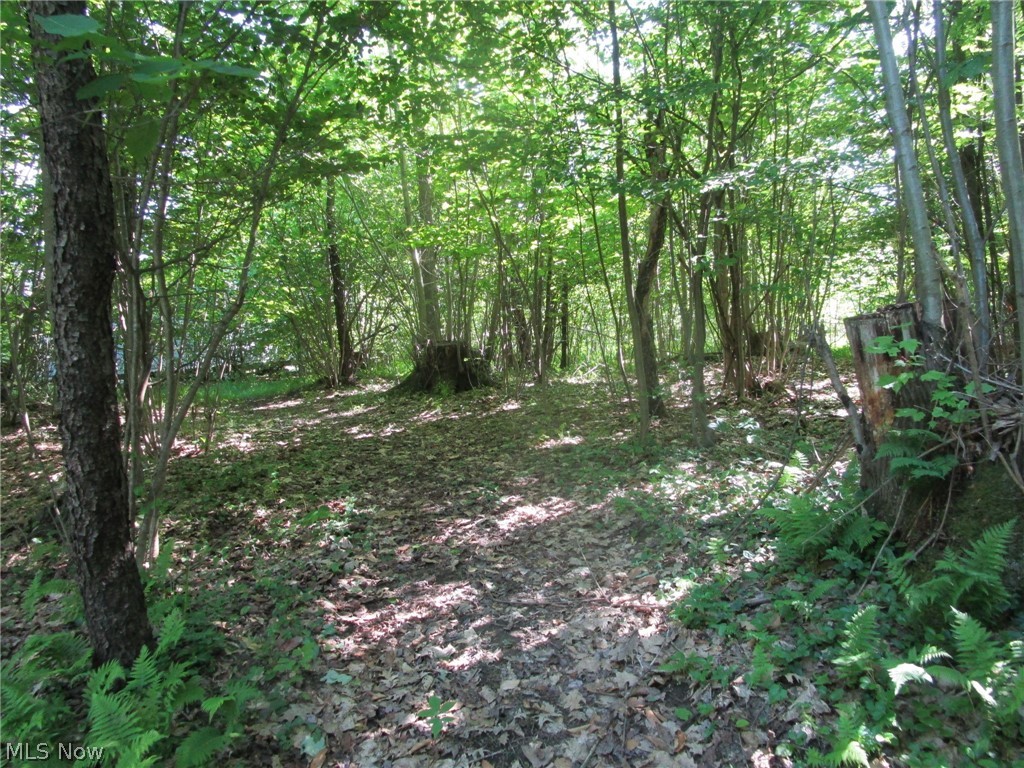 4293 Bulah Road Jefferson OH 44047
