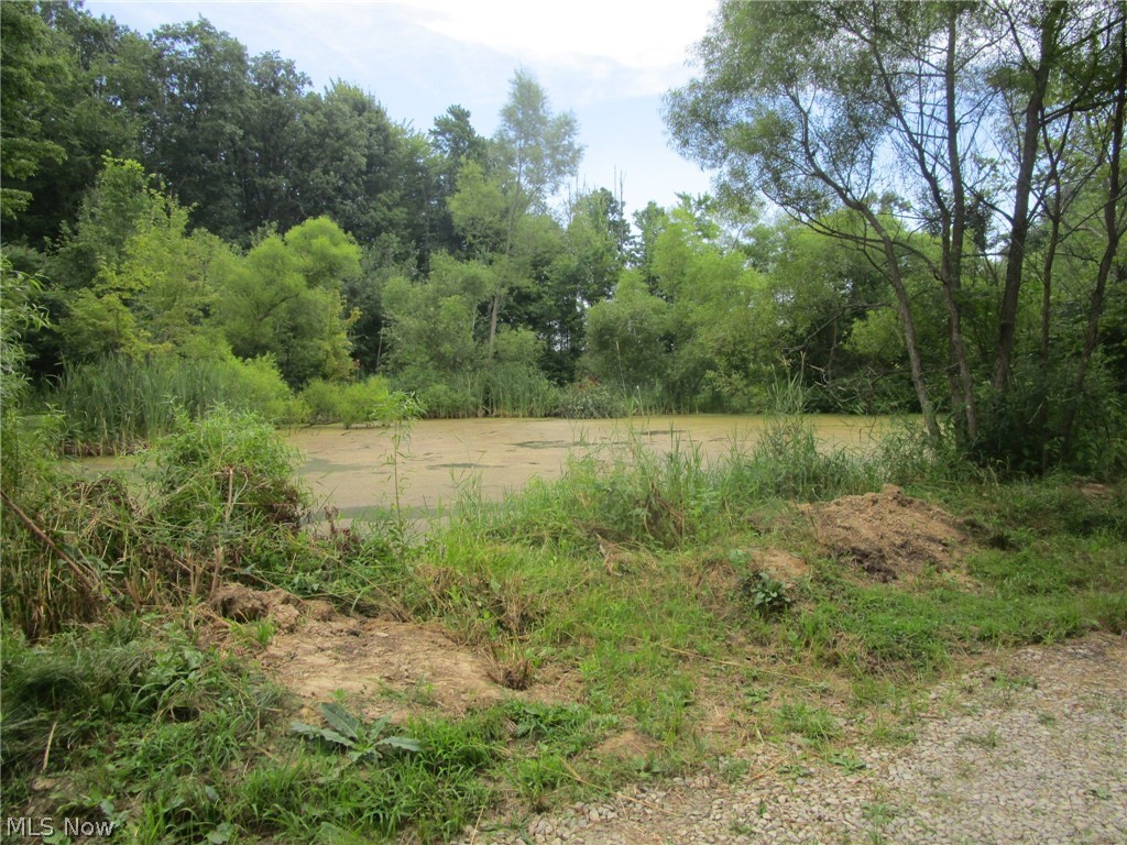 4293 Bulah Road Jefferson OH 44047