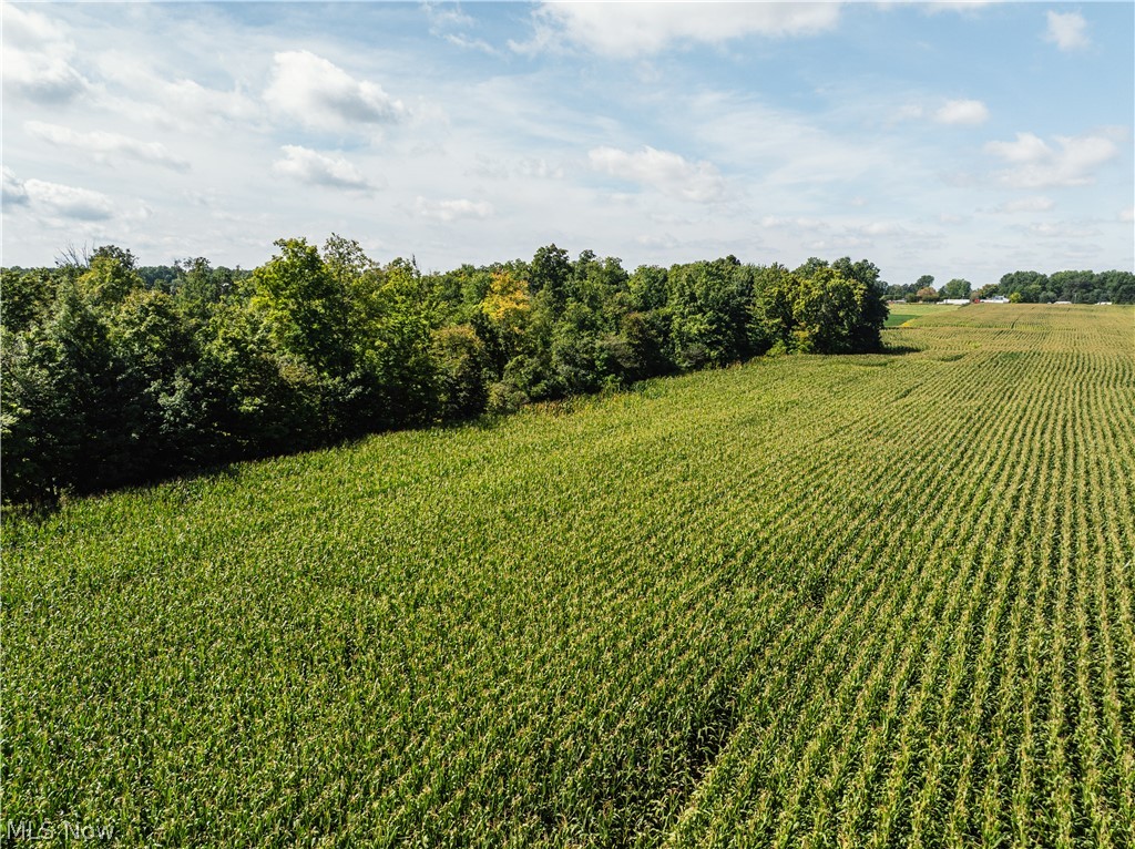 12472 Burbank Burbank OH 44214