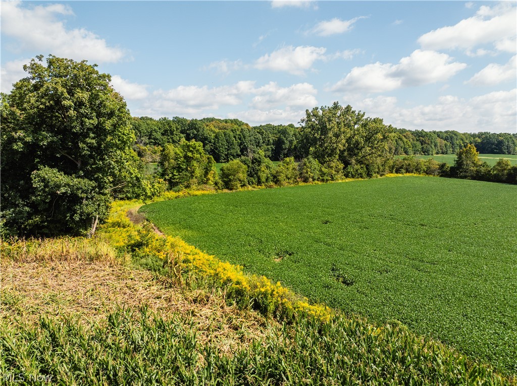12472 Burbank Burbank OH 44214