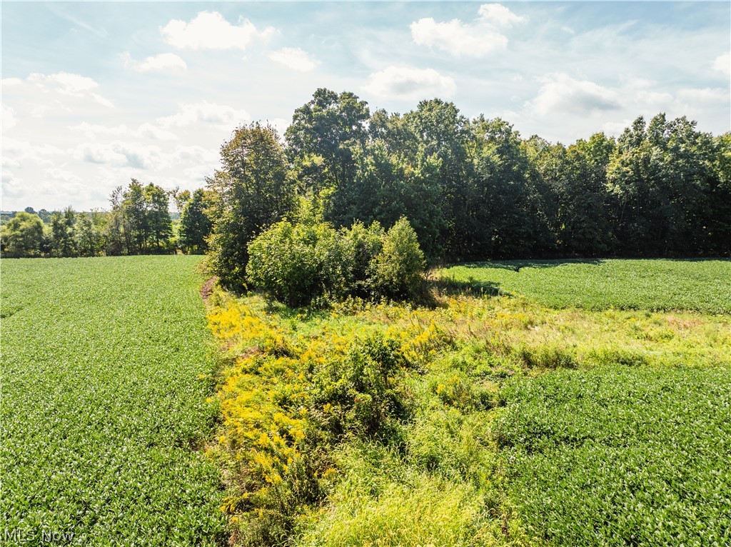 12472 Burbank Burbank OH 44214