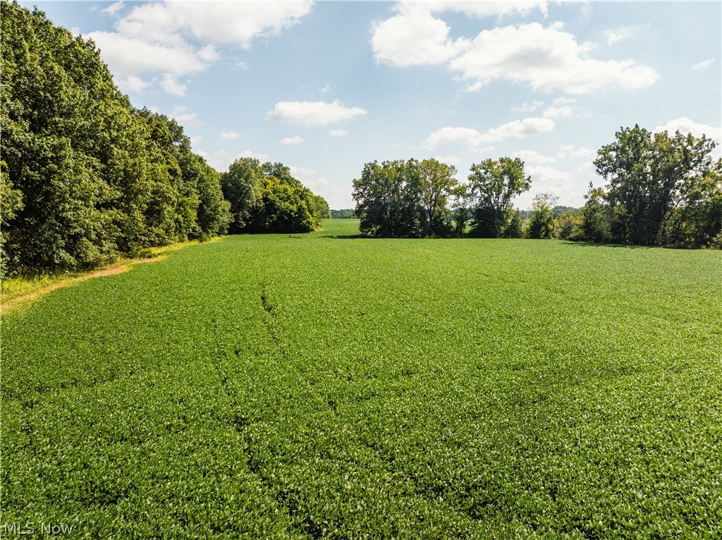 12472 Burbank Burbank OH 44214