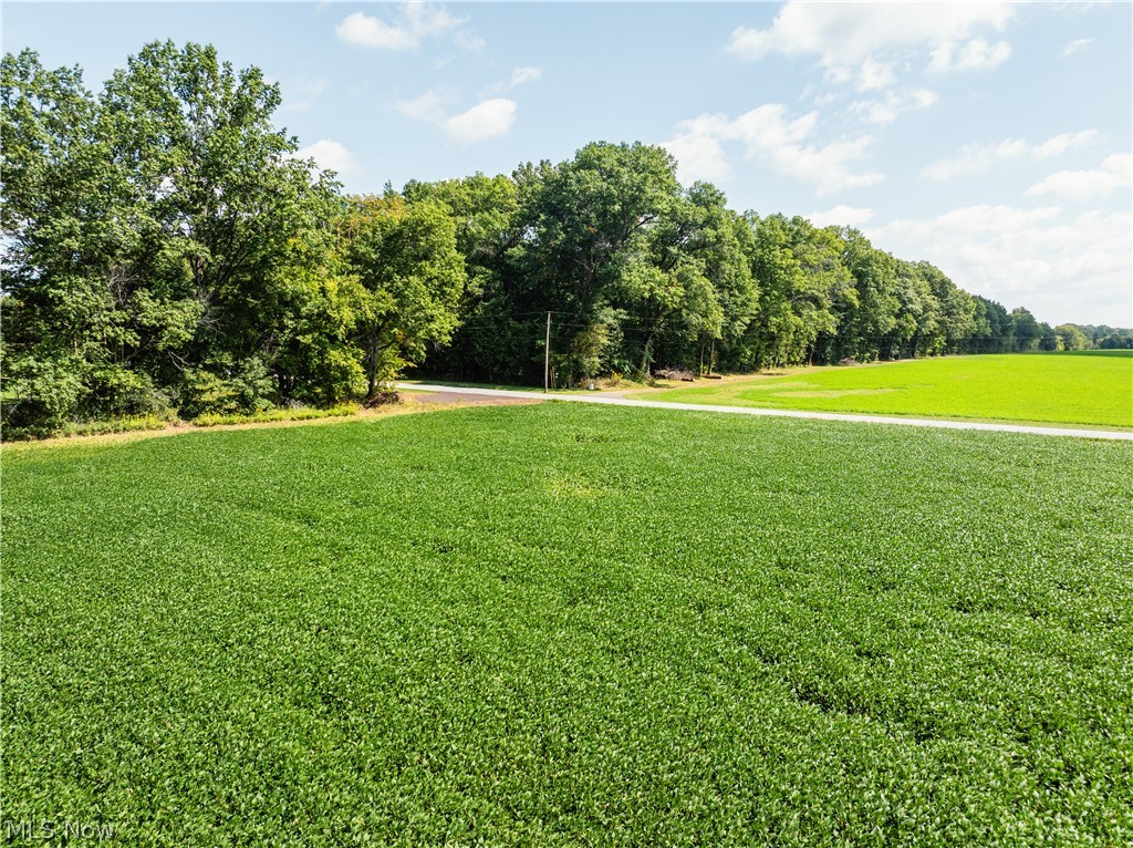 12472 Burbank Burbank OH 44214