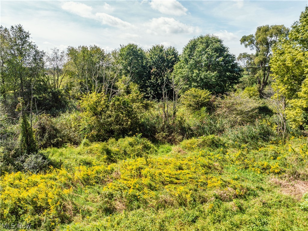 12472 Burbank Burbank OH 44214