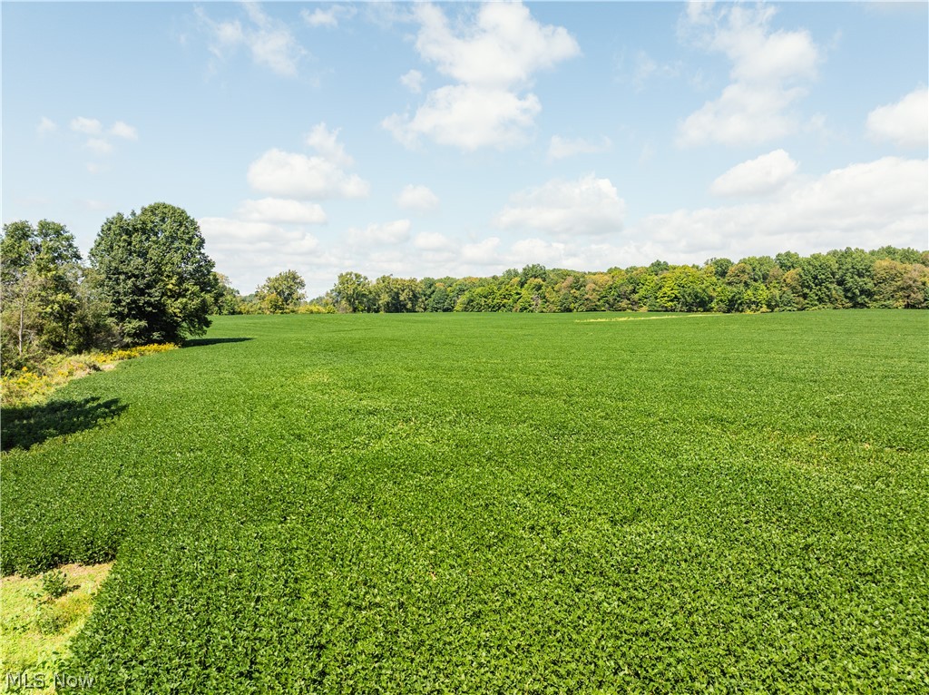 12472 Burbank Burbank OH 44214