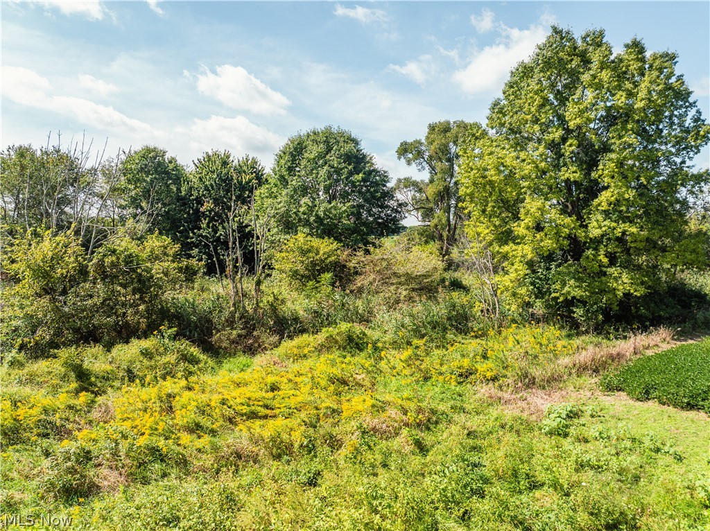12472 Burbank Burbank OH 44214