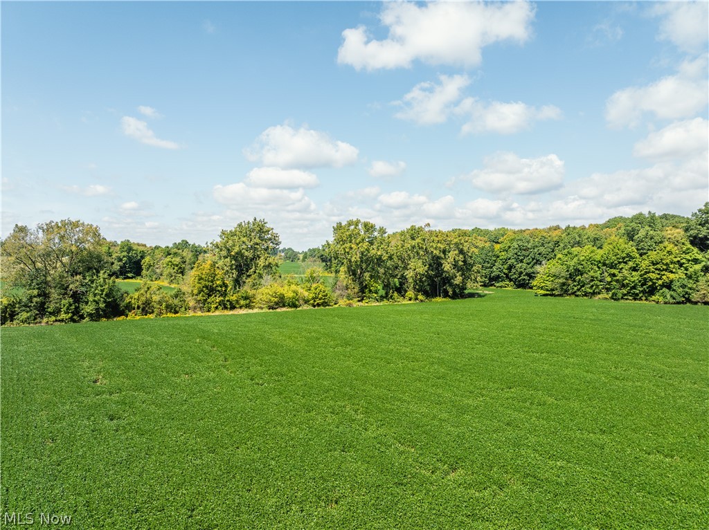 12472 Burbank Burbank OH 44214