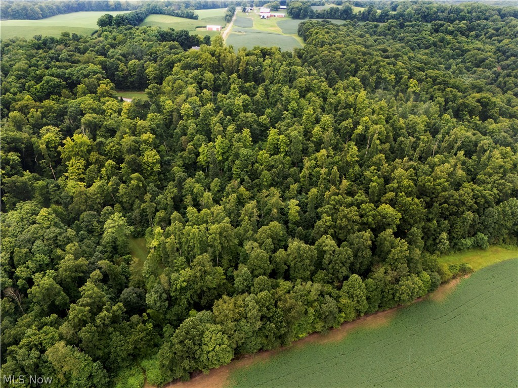 0 Township Road 252 Killbuck OH 44637