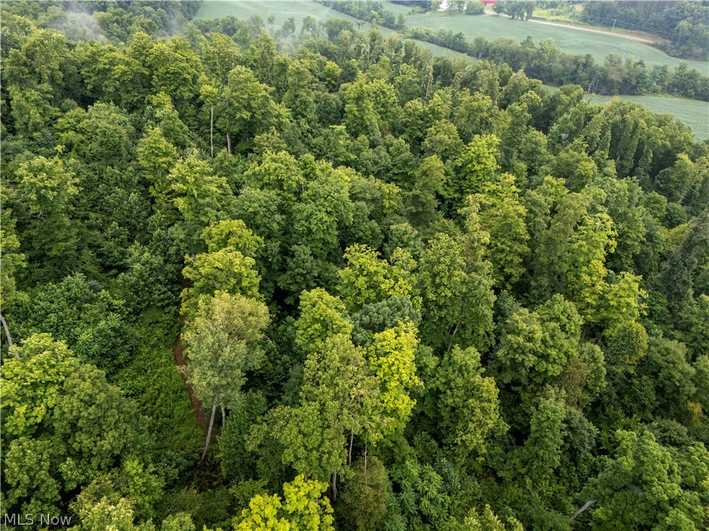 0 Township Road 252 Killbuck OH 44637
