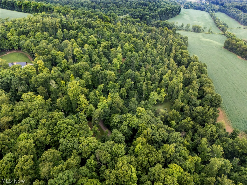0 Township Road 252 Killbuck OH 44637