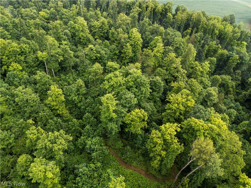 0 Township Road 252 Killbuck OH 44637