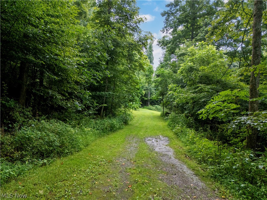 0 Township Road 252 Killbuck OH 44637