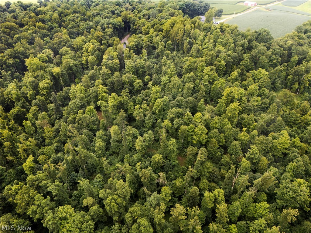 0 Township Road 252 Killbuck OH 44637