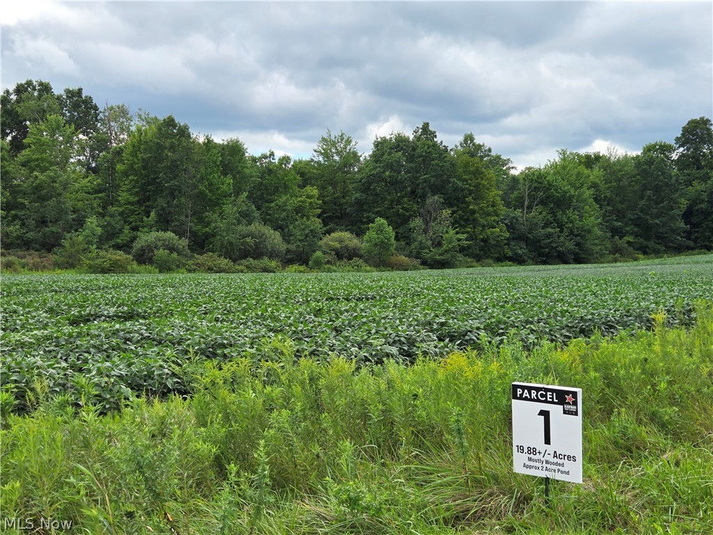 (Parcel 1) Norton Road Garrettsville OH 44231