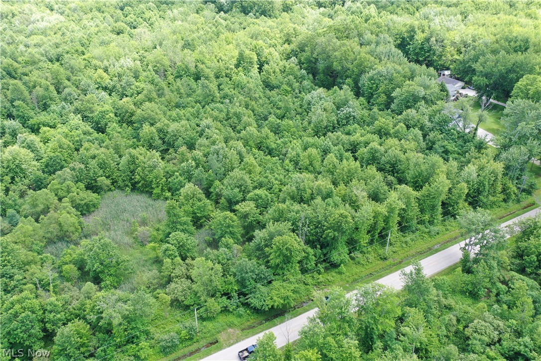 Ninevah Road Geneva OH 44041