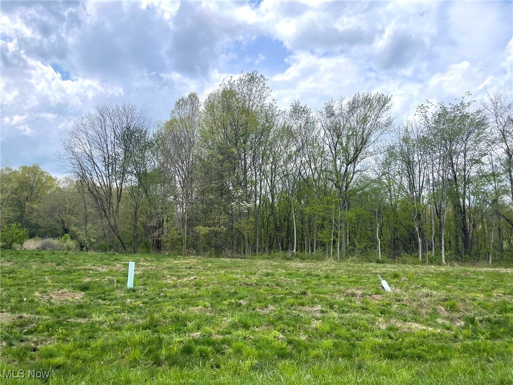 Lot# 17 Candell Street SE Massillon OH 44646