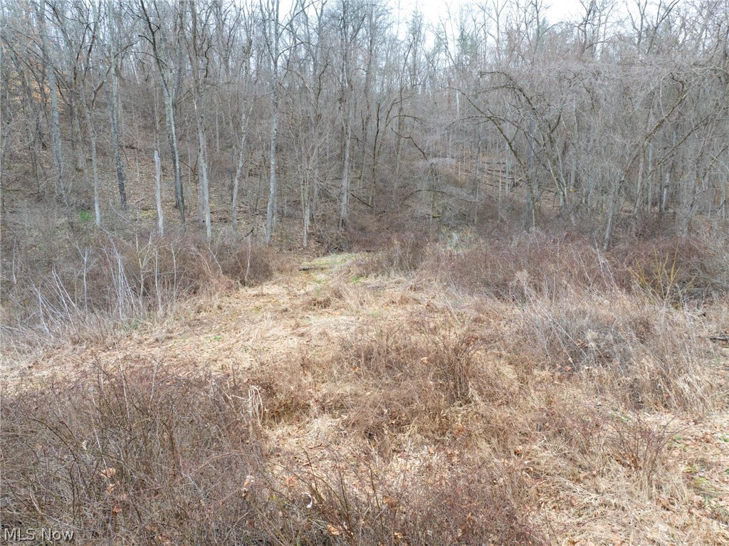 Sarchets Run Road Cambridge OH 43725