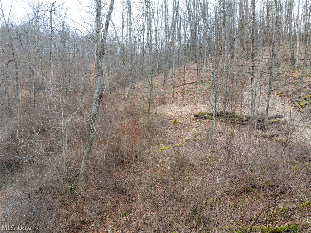 Sarchets Run Road Cambridge OH 43725