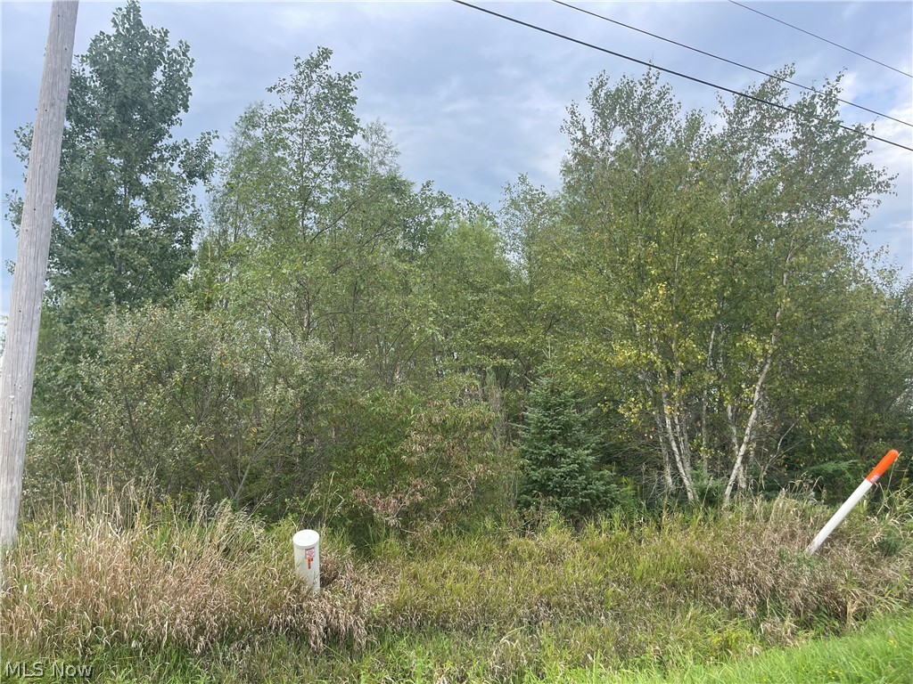 Smith Road Jefferson OH 44047