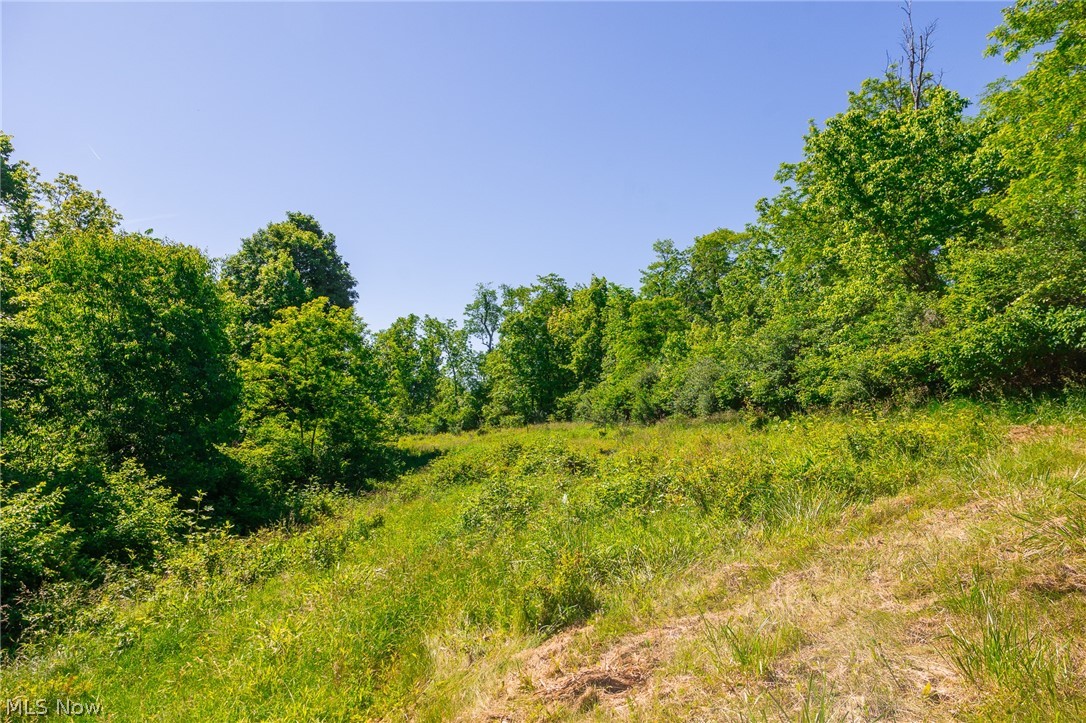 84143 Gilmore Ridge Road Cadiz OH 43907