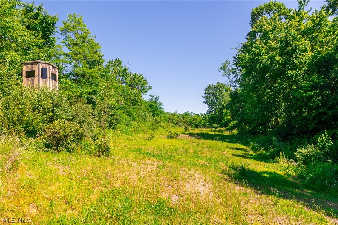 84143 Gilmore Ridge Road Cadiz OH 43907