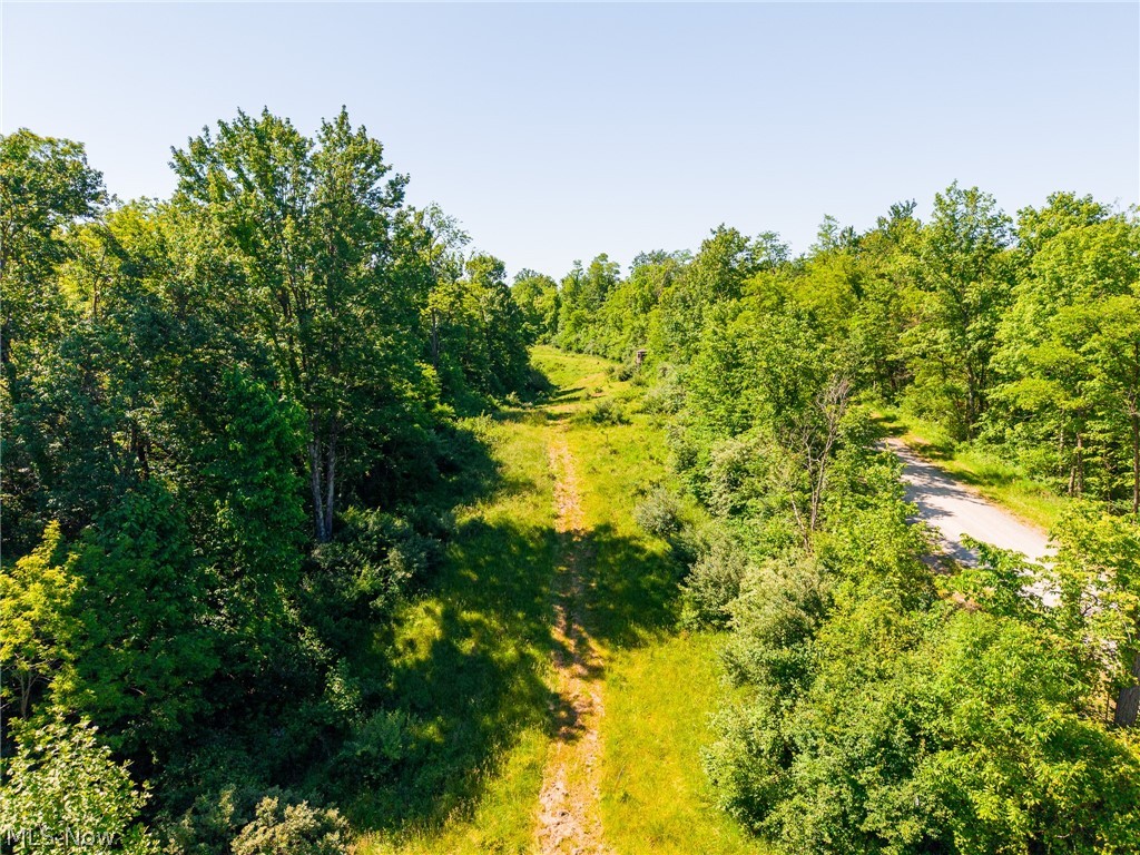 84143 Gilmore Ridge Road Cadiz OH 43907