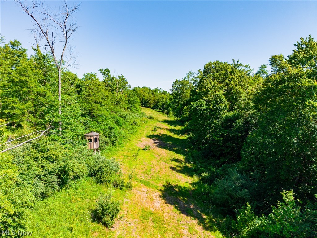 84143 Gilmore Ridge Road Cadiz OH 43907