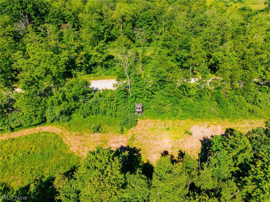 84143 Gilmore Ridge Road Cadiz OH 43907