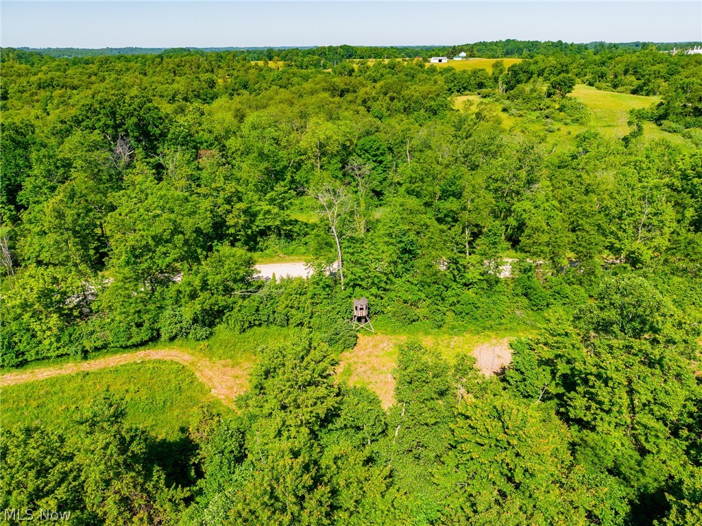 84143 Gilmore Ridge Road Cadiz OH 43907