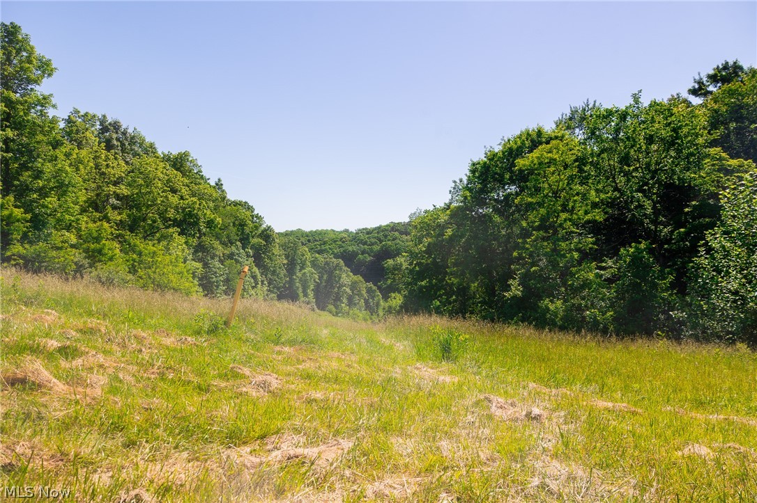84143 Gilmore Ridge Road Cadiz OH 43907