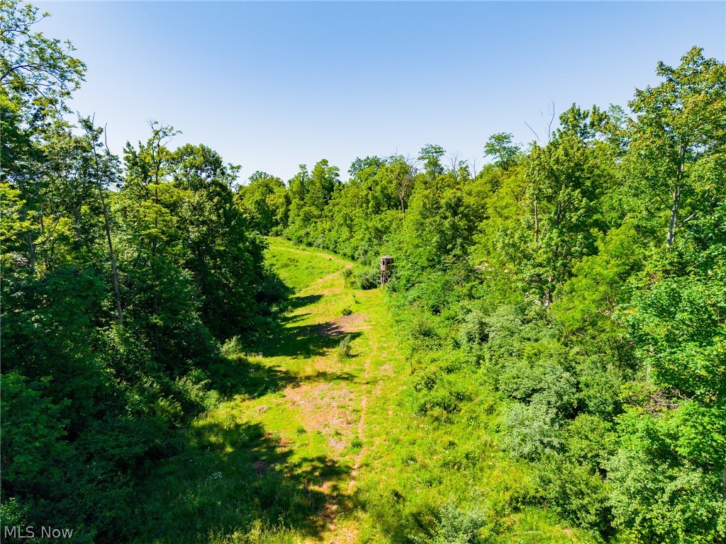 84143 Gilmore Ridge Road Cadiz OH 43907