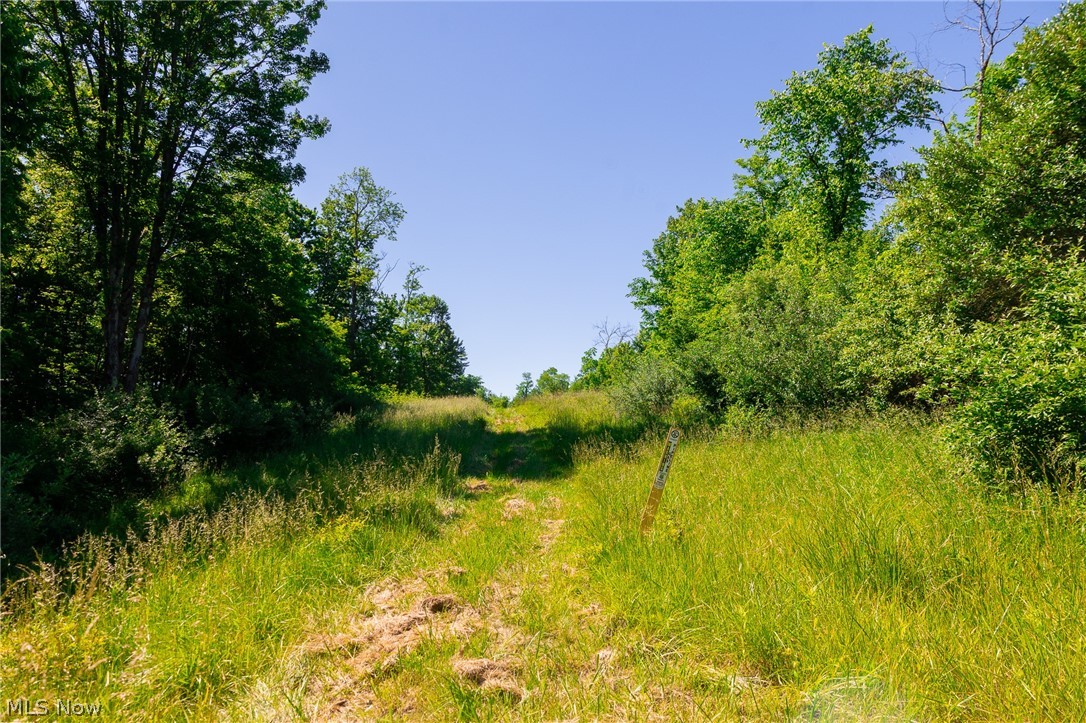 84143 Gilmore Ridge Road Cadiz OH 43907