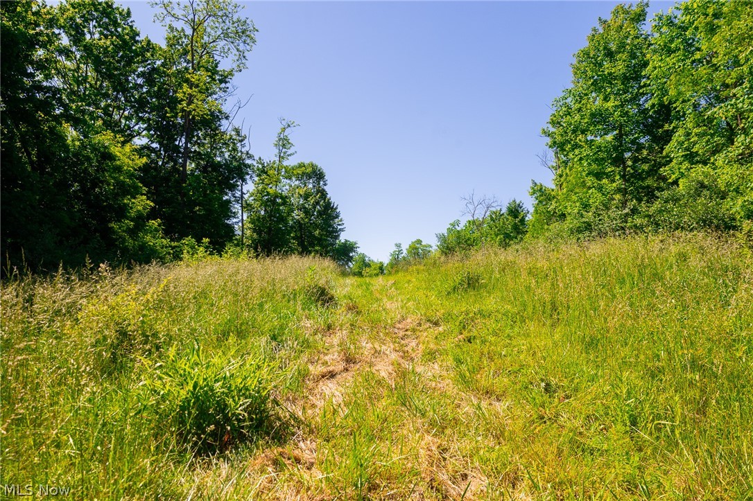 84143 Gilmore Ridge Road Cadiz OH 43907